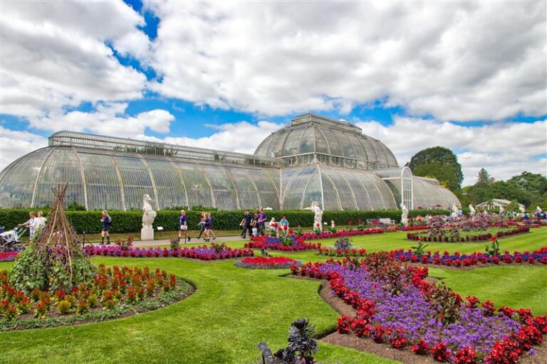 Palm-house - Buy page